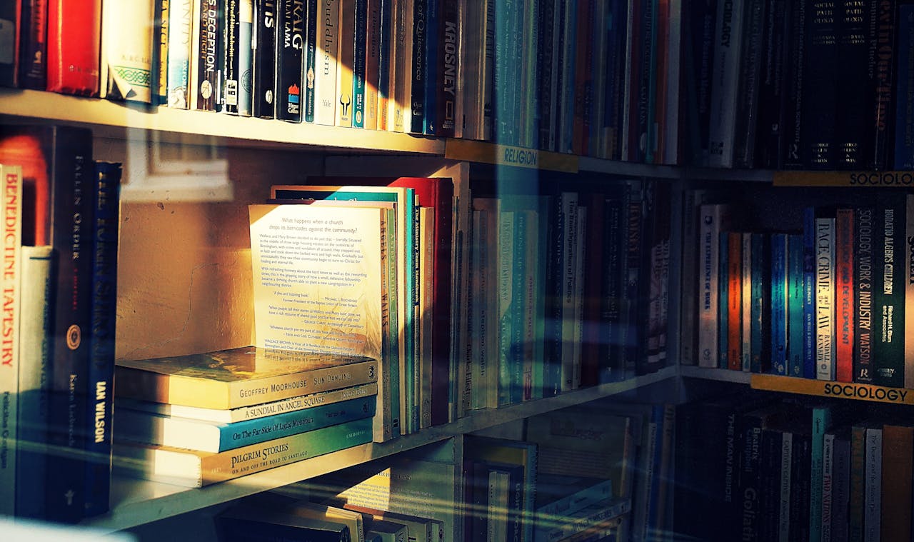 Sunlit bookshelf filled with an assortment of books in a cozy library setting. Perfect for literature lovers.